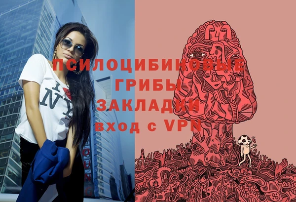СК Алексеевка