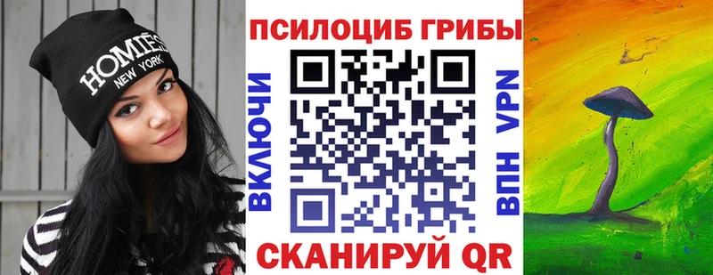 Галлюциногенные грибы Cubensis Бежецк